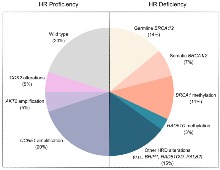 Homologous Recombination Proficiency in High-Grade Serous Epithelial Ovarian Cancer Tumors: The Dark Side of the Moon.