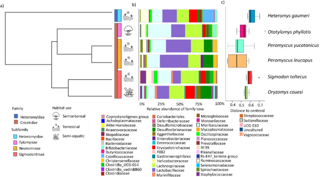 Evolutionary and Ecological Drivers of Gut Microbiota in Wild Rodent Species from the Yucatán Peninsula.