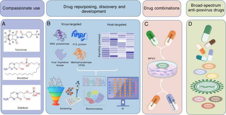 Mpox: disease manifestations and therapeutic development.