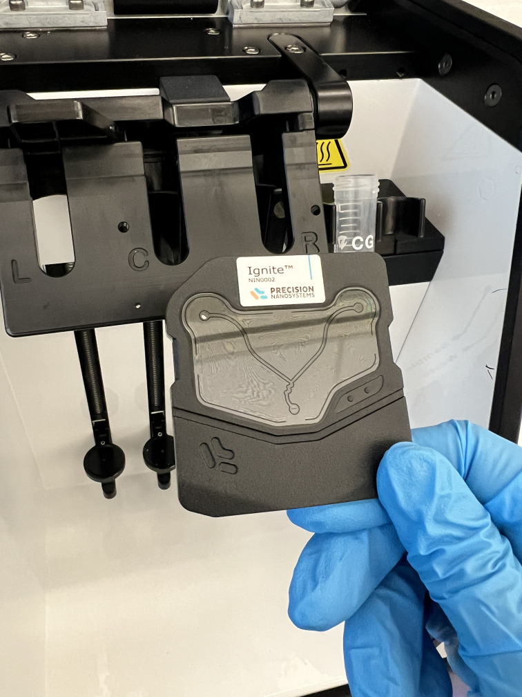 Preparation and Characterization of Lipid Nanoparticles Co-loaded With DNA and Nitro-Oleic Acid.