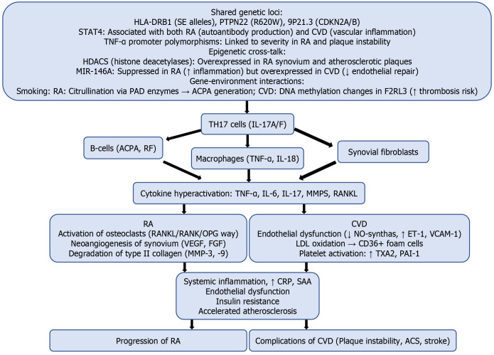 From joints to vessels: How rheumatoid arthritis therapy alters the fate of the heart.