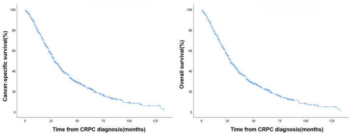 Machine-Learning-Based Survival Prediction in Castration-Resistant Prostate Cancer: A Multi-Model Analysis Using a Comprehensive Clinical Dataset.