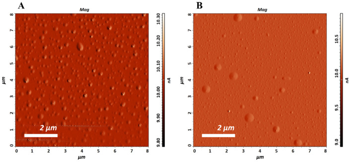 Liposomal Encapsulation of Pine Green Cone Essential Oil: The Influence of the Carrier on the Enhancement of Anti-Inflammatory Activity.