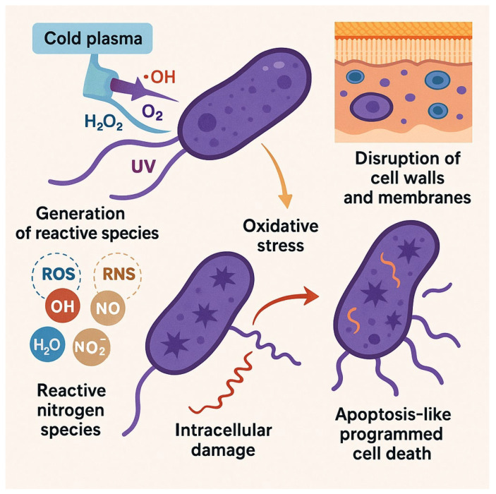 Cold Plasma as a Revolutionary Antimicrobial Modality: A Multifaceted Weapon Against Antibiotic Resistance.