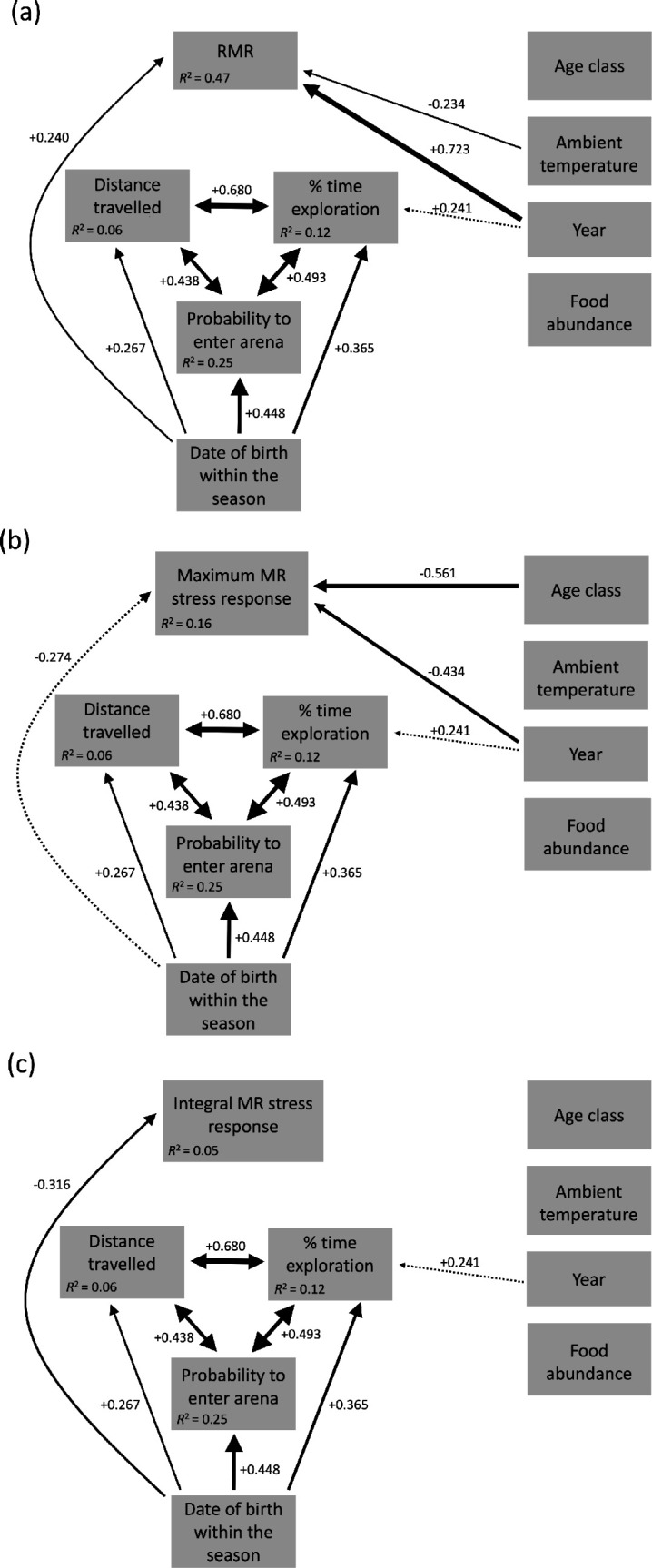 Associations between metabolic rate and personality in a free-living small mammal are driven by date of birth.