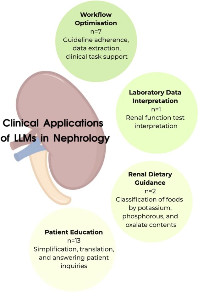 Clinical applications and limitations of large language models in nephrology: a systematic review.