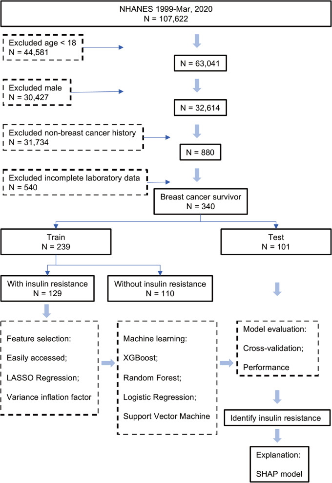 Developing an interpretable machine learning model for easily detecting insulin resistance among breast cancer survivors: a cross-sectional study.