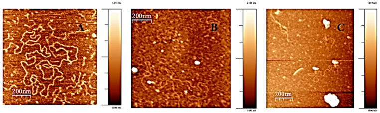 Daunomycin Nanocarriers with High Therapeutic Payload for the Treatment of Childhood Leukemia.