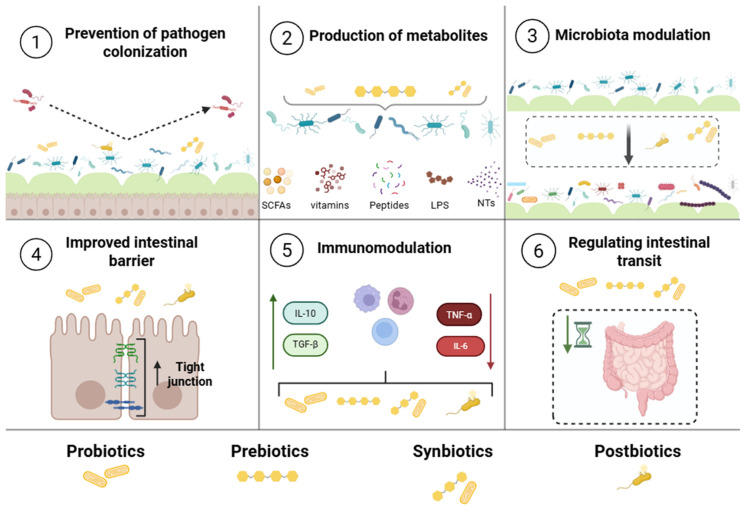 Nanoencapsulation of Biotics: Feasibility to Enhance Stability and Delivery for Improved Gut Health.
