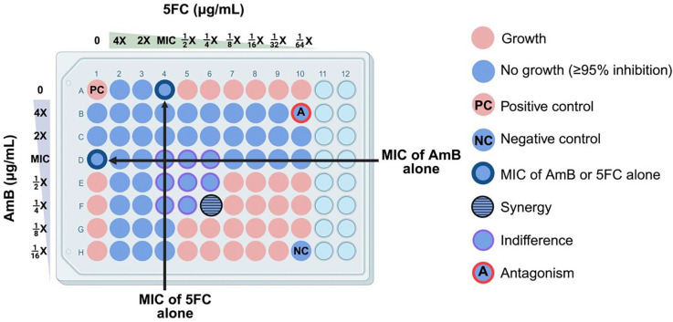 In Vitro Evidence to Support Amphotericin B and Flucytosine Combination Therapy for Talaromycosis.