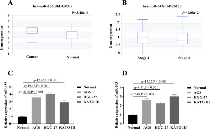 Relationship between the degree of Helicobacter pylori infection and miR-155 and miR-543 expression levels in gastric cancer.