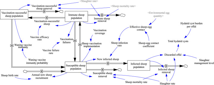 Optimization of echinococcosis control measures based on system dynamics.