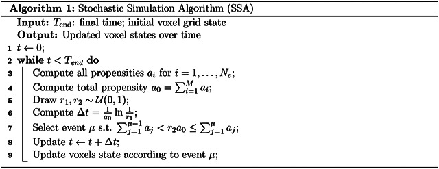 Ising energy model for the stochastic prediction of tumor islets.