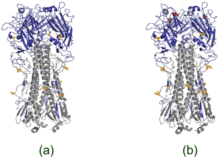 Differences in Glycoproteins and the Potential for Early Protection Using LAIV Based on Drift Variants of the A/H1N1pdm09 Influenza Virus.