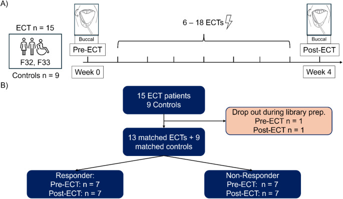 Response to electroconvulsive therapy is associated with a more diverse oral microbiome- a prospective longitudinal cohort pilot study.