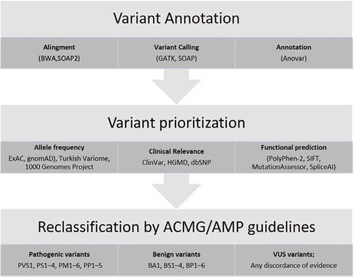 Reclassification of <i>BRCA1</i> and <i>BRCA2</i> Variants of Unknown Significance in a Turkish Cohort; A Single-Center, Retrospective Study.