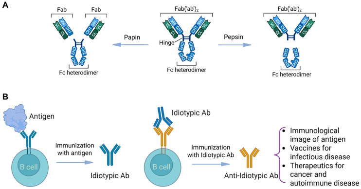 Novel Strategies for Developing Next-Generation Vaccines to Combat Infectious Viral Diseases.