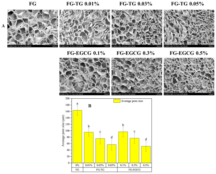 Effects of Transglutaminase and Epigallocatechin Gallate on the Structural and Physicochemical Properties of Fish Skin Gelatin from <i>Takifugu rubripes</i>.