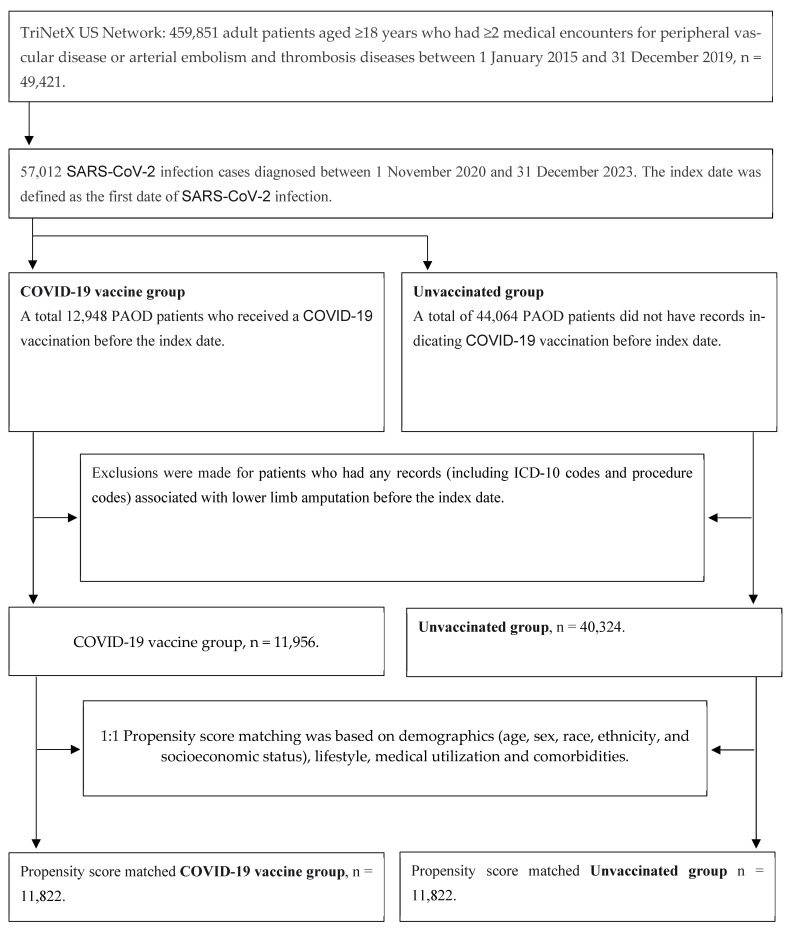 COVID-19 Vaccination Reduces Lower Limb Amputation Rates and Mortality Rate in Patients with Pre-Existing Peripheral Vascular Disease Based on TriNetX Database.