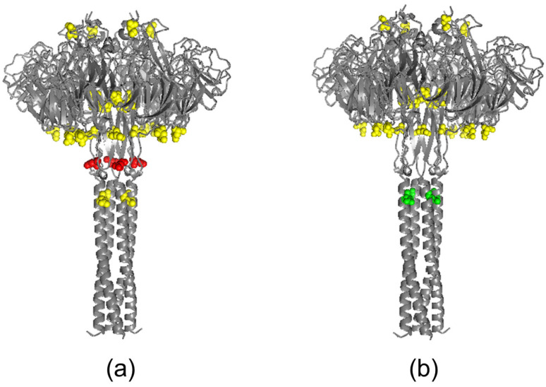 Differences in Glycoproteins and the Potential for Early Protection Using LAIV Based on Drift Variants of the A/H1N1pdm09 Influenza Virus.
