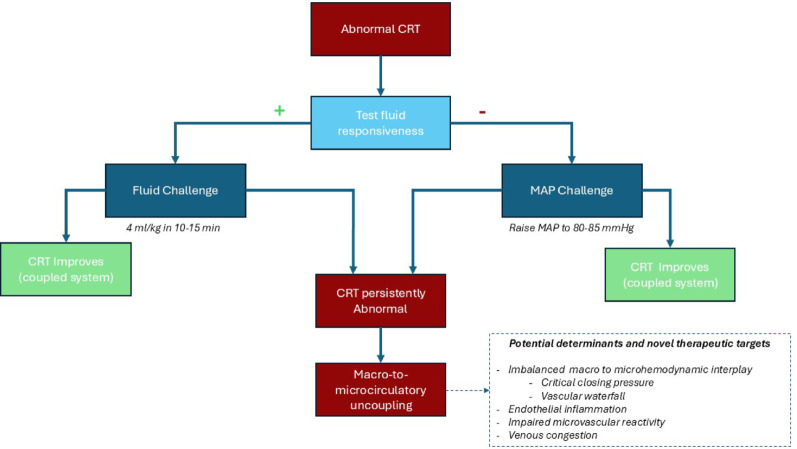 The intricate relationship between capillary refill time and systemic hemodynamics in septic shock.