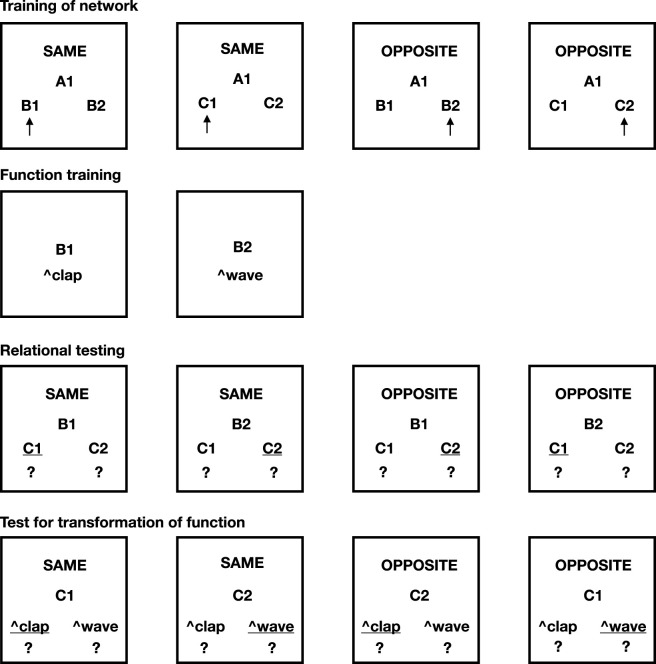 Modeling arbitrarily applicable relational responding with the non-axiomatic reasoning system: a Machine Psychology approach.