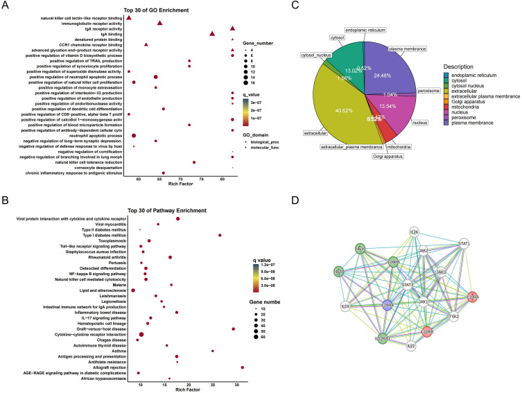 Downregulation of IL-20RA in Cerebrospinal Fluid Associated with the Risk of Moyamoya Disease: A Molecular Signatures Analysis with an Inflammation Proteomics Landscape.