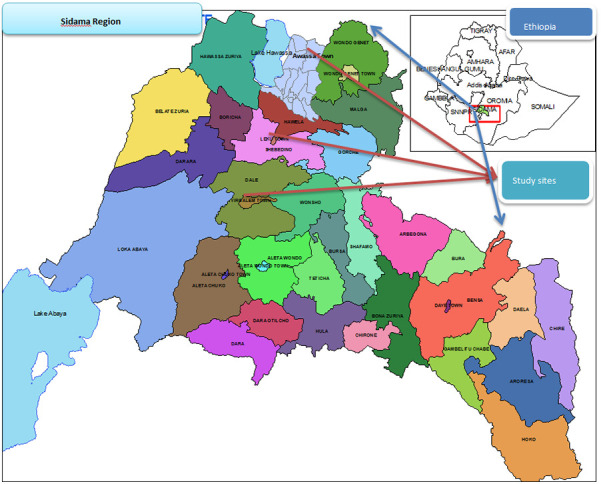 Risk factors for uterovaginal prolapse among women in public hospitals of Sidama, Ethiopia: a case control study.