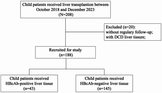 Risk of HBV transmission from HBcAb-positive grafts in pediatric liver transplantation: a real-world prospective cohort study.
