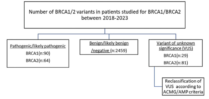 Reclassification of <i>BRCA1</i> and <i>BRCA2</i> Variants of Unknown Significance in a Turkish Cohort; A Single-Center, Retrospective Study.