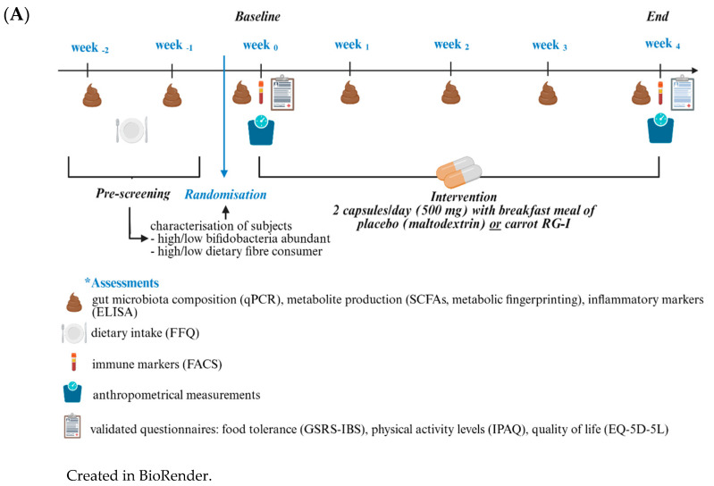 Carrot Rhamnogalacturonan-I Supplementation Shapes Gut Microbiota and Immune Responses: A Randomised Trial in Healthy Adults.