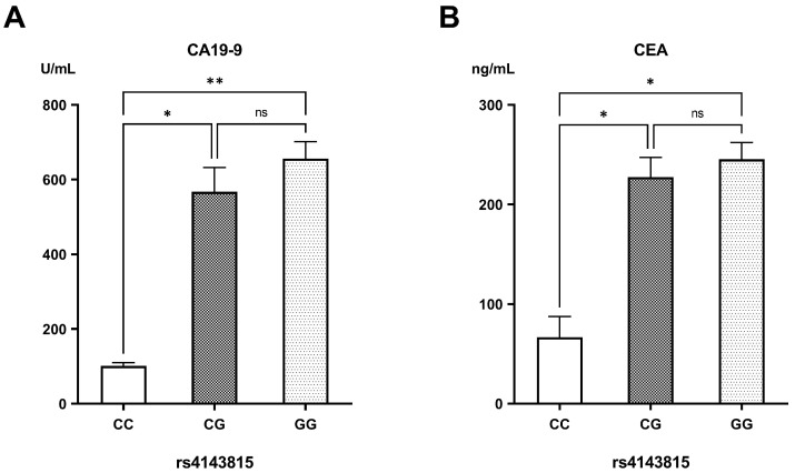 Genetic Variants and Soluble Isoforms of PD-1/PD-L1 as Novel Biomarkers for Pancreatic Ductal Adenocarcinoma (PDAC) Susceptibility and Prognosis.