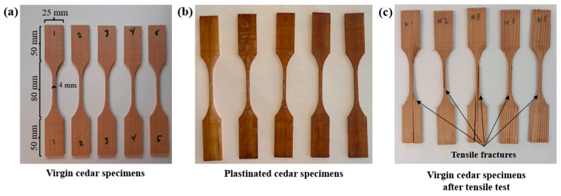 Towards a New Plastination Technique for Moisture Management of Western Red Cedar Without Loss of Strength and with Enhanced Stability.