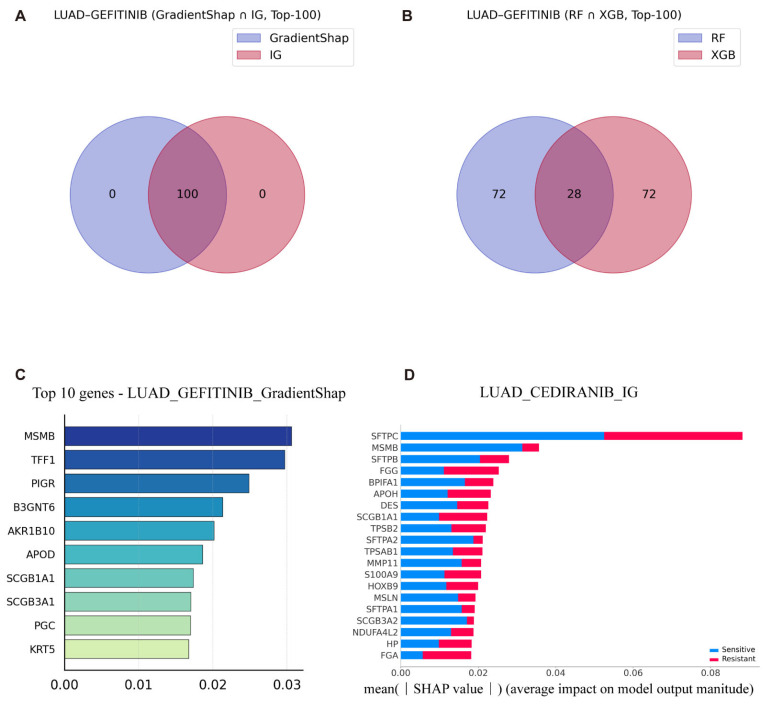 Interpretable Transfer Learning for Cancer Drug Resistance: Candidate Target Identification.