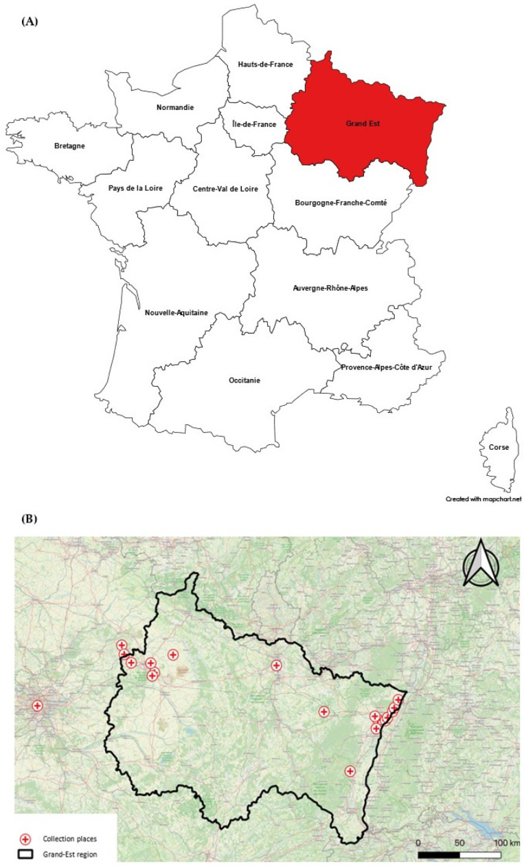 Absence of West Nile and Usutu Virus Persistence in Overwintering Mosquitoes in Northeastern France: Insights from Cold-Season Surveillance.