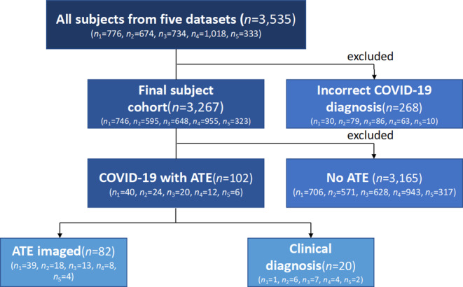 A Retrospective Multicenter Study of Arterial Thromboembolic Events in Hospitalized COVID-19 Patients: Incidence and Imaging Characteristics.