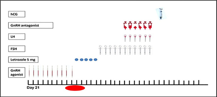 Evaluation of the effects of the Stop GnRH agonist with the letrozole protocol in poor ovarian responders: ABOTH randomized controlled trial.