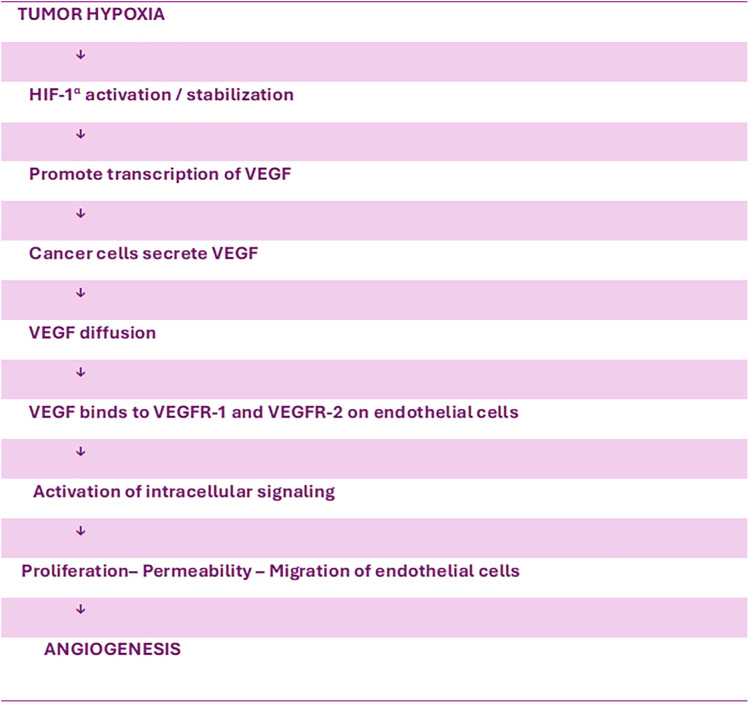 Predictive Value of Serum VEGF Levels in Non-Small Cell Lung Cancer: A Review.