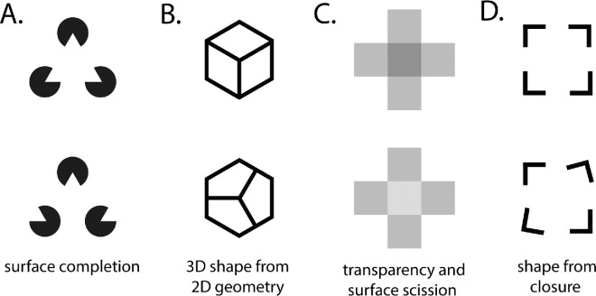 Perceptual organization is limited in peripheral vision: Evidence from configural superiority.
