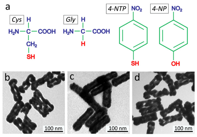 Advances in Second Near-Infrared Window Photothermal Agents and Photothermal Therapy for Tumors in Interdisciplinary Medical Research.
