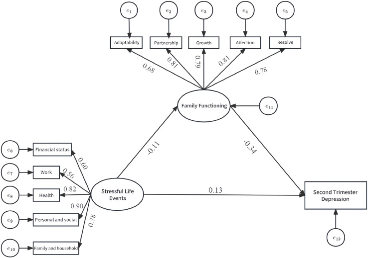 The mediating role of family function in the relationship between stressful life events and depressive symptoms in mid-pregnancy women: a birth cohort study in Wuhan, China.