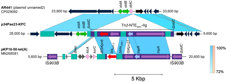 New Insights in <i>bla</i><sub>KPC</sub> Gene Mobilization in <i>Pseudomonas aeruginosa</i>: Acquisition of <i>bla</i><sub>KPC-3</sub> and Identification of a New Tn<i>2</i>-like NTE Mobilizing <i>bla</i><sub>KPC-2</sub>.