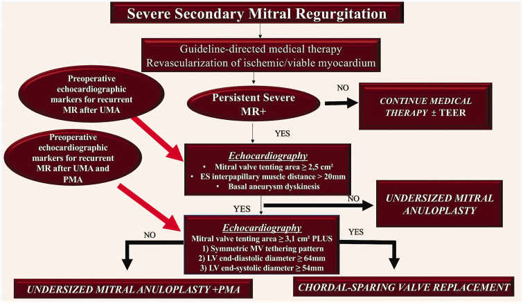Emerging evidence on transcatheter edge-to-edge repair for secondary mitral regurgitation.