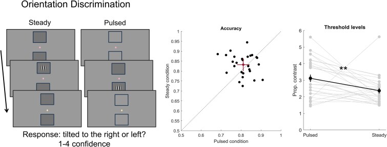 Metacognition in putative magno- and parvocellular vision.
