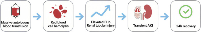 The effects of transfusion load on renal function in intraoperative salvage autotransfusion: a retrospective cohort study for 200 patients.