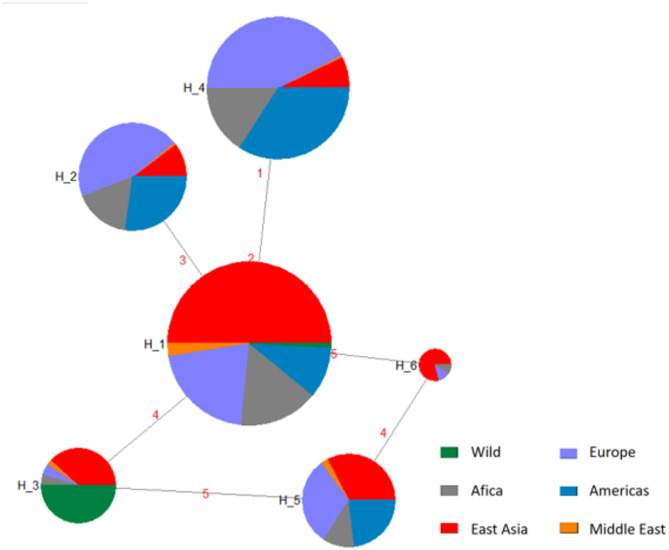 Genetic variation landscape of sheep GDF9 gene from global ewes breeds and their association with gestation days.