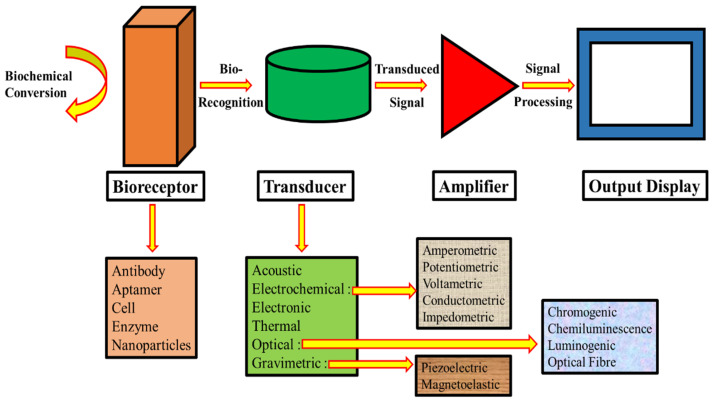 Nanomaterial-Powered Biosensors: A Cutting-Edge Review of Their Versatile Applications.