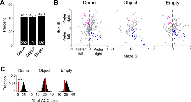 Observational activation of anterior cingulate cortical neurons coordinates hippocampal replay in social learning.