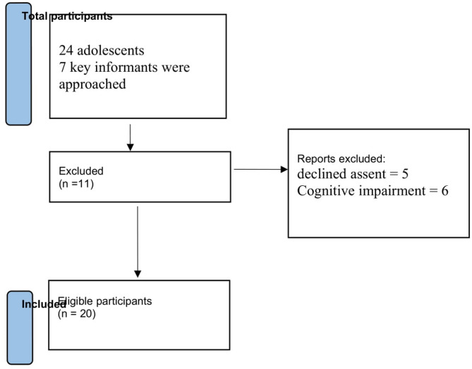 Prescription drug misuse and risk factors among Somali adolescents: a qualitative study exploring peer influence, stress, and academic pressure.