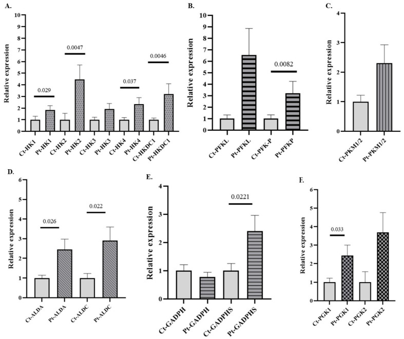 Dysregulated Expression of Canonical and Non-Canonical Glycolytic Enzyme Isoforms in Peripheral Blood from Subjects with Alcohol Use Disorder and from Individuals with Acute Alcohol Consumption.